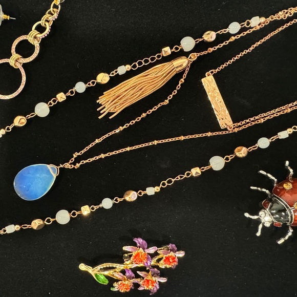 LIVE SHOW -CLOSET STEAL DEAL - Picture 16 of 16